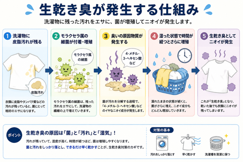 生乾き臭が発生する仕組み