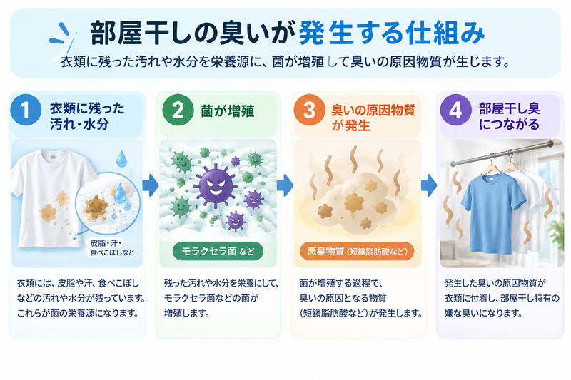 部屋干し臭が発生する仕組み